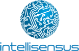 Intellisensus Tech Solutions LLC
